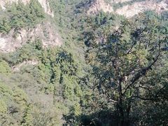 -北京上方山国家森林公园