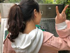-九龙公园