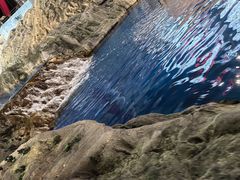 -法拉利主题公园