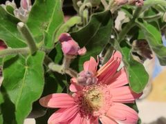 -半秋山西餐厅(巴南万达广场店)