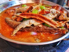 -鱼乐岛餐厅·户外花园主题餐厅