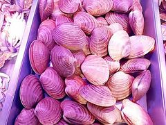 -春华海鲜城(广场西苑店)