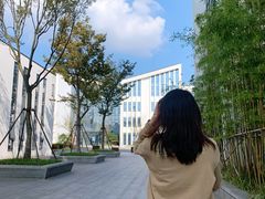 -湘湖金融镇