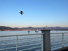 -海埂大坝