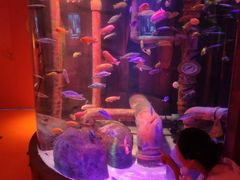 -沈阳海洋探索中心