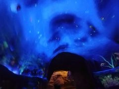 -天河潭旅游度假区