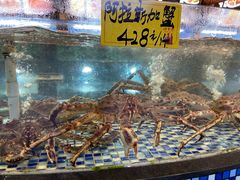 水产区-顺德了能馆(虎门店)