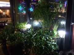 -新悦·霞浦海鲜生(上下杭店)