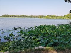 -东湖落雁景区