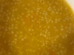 -粥六•新晋菜(柳巷店)