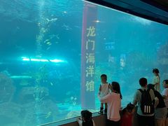 -洛阳龙门海洋馆