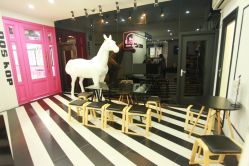 设施-DOS HOP潮上舞蹈