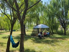 -天津东丽湖风景区