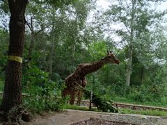 -北京野生动物园