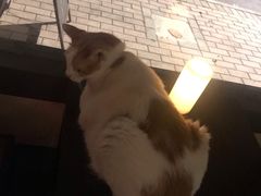 -江湖边·小生活