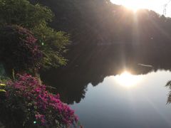 -王借岗森林公园