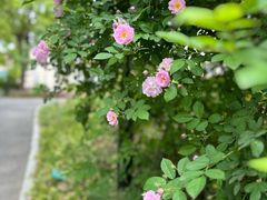 -奉浦四季生态园