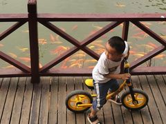 -武汉紫薇都市田园