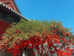 -青州市云门山风景区