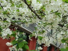 -四川大学(望江校区)
