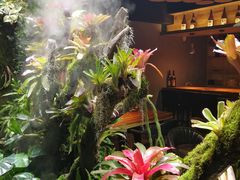 -森味薪火烧•烧鸟居酒屋•日本料理(望京店)