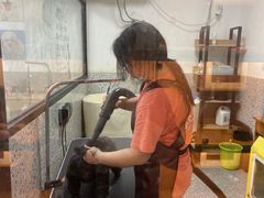 -小呆的宠物店·宠物售卖·宠物寄养(城西店)