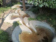 -活水公园