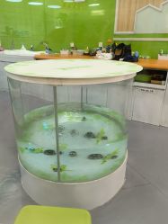 -鳄鱼泡泡游泳馆(新DNA购物中心店)