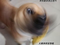 -瑞虹新天地月亮湾