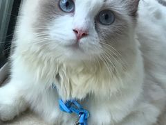 -佳雯宠物医院(金华南路分院)