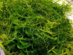 -Isla Sugbu Seafood City