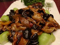 -旭龙鱼头王(航华店)