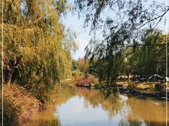 -上海滨江森林公园