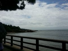 android_upload_pic-八大关景区