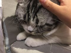 -小时光咖啡馆(开森度假森林店)