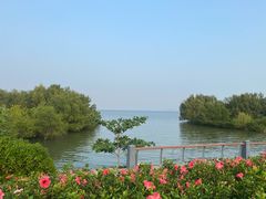 -深圳湾公园(南山区)