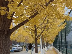 -东北大学(南湖校区)