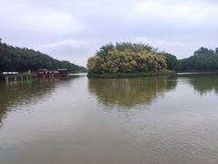 -大湾区中央湿地公园