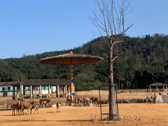 -杭州野生动物世界