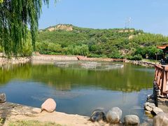 -五龙城郊森林公园