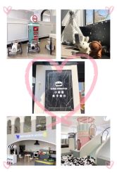 -BabyMonster小怪兽亲子派对·餐厅乐园(金月湾店)