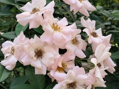 -人民公园(罗湖区)