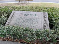 -红梅公园
