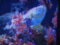 -成都浩海立方海洋公园