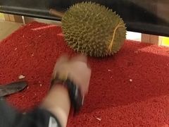-都念榴莲·城市榴莲