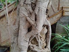 -北京植物园-展览温室