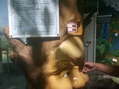 -佛山科学馆