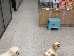 -四月宠物医院·猫专科·心脏专科·内科(转塘店)
