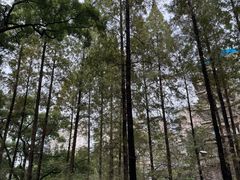 -忠山公园