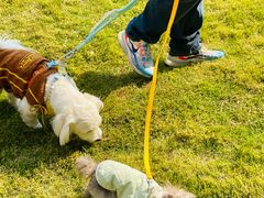 -上海神旺大酒店